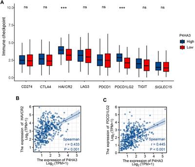 High Prolyl 4-Hydroxylase Subunit Alpha 3 Expression as an Independent Prognostic Biomarker and Correlated With Immune Infiltration in Gastric Cancer